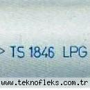 TÜPGAZ LPG HORTUMLARI